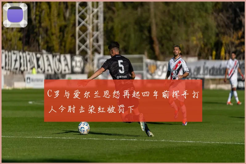 C罗与爱尔兰恩怨再起四年前挥手打人今肘击染红被罚下