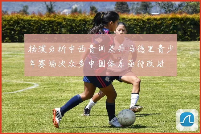 杨璞分析中西青训差异马德里青少年赛场次众多中国体系亟待改进