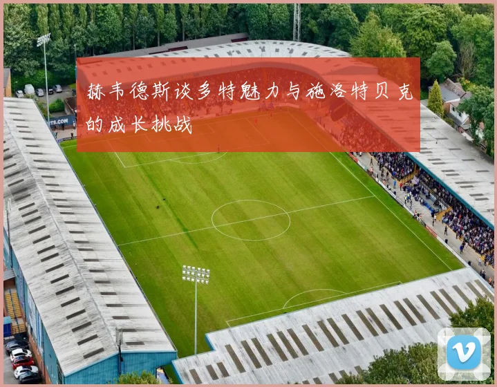 赫韦德斯谈多特魅力与施洛特贝克的成长挑战