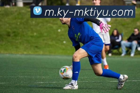 MK体育平台生态图