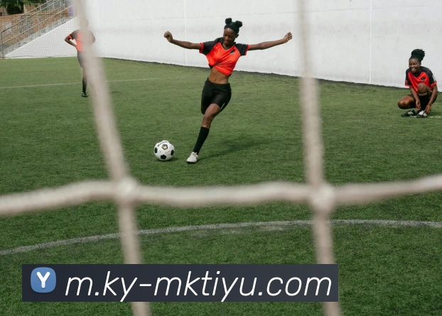 MK体育APP 封面图